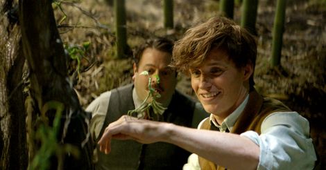 Fantastic Beasts and Where to Find Them review: Magic-like