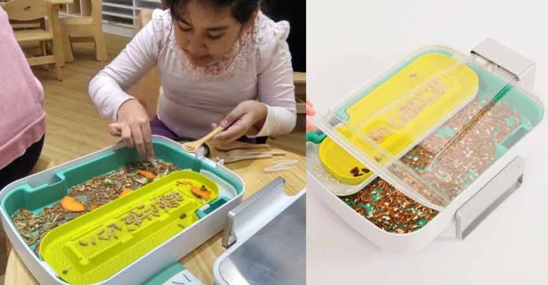 Make a meal of mealworms, Hong Kong startup says Make a meal of mealworms, Hong Kong startup says