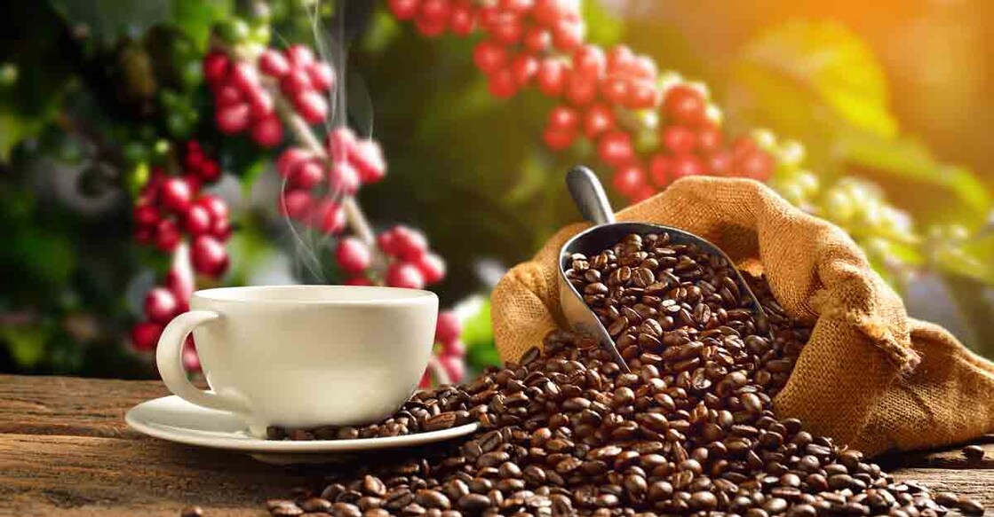 coffee