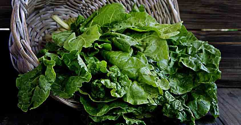 Athletes must eat nitrate-rich vegetables for energy