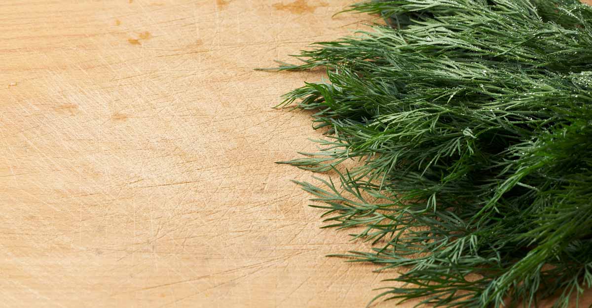 dill-leaves dill-leaves