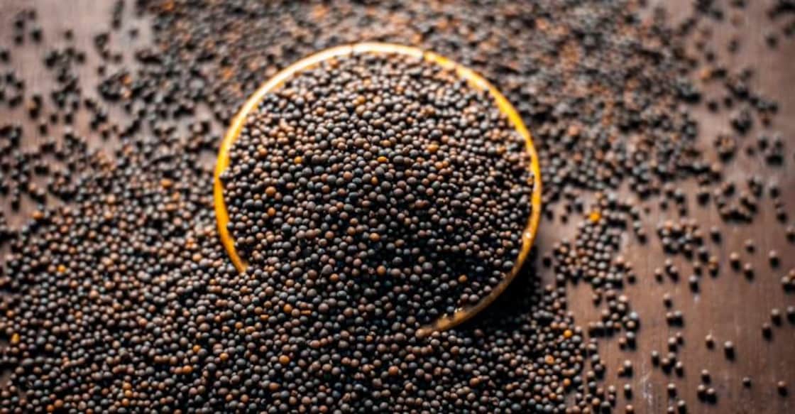 mustard seeds