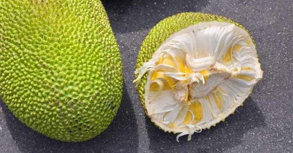 Jackfruit Jackfruit