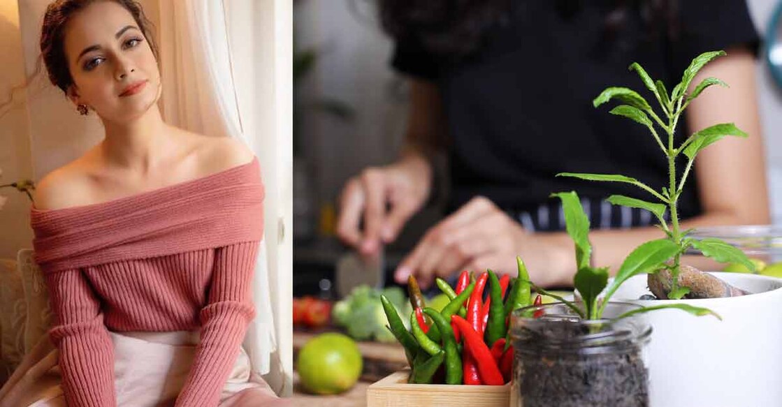 Dia Mirza's 2021 resolution is to create a kitchen garden