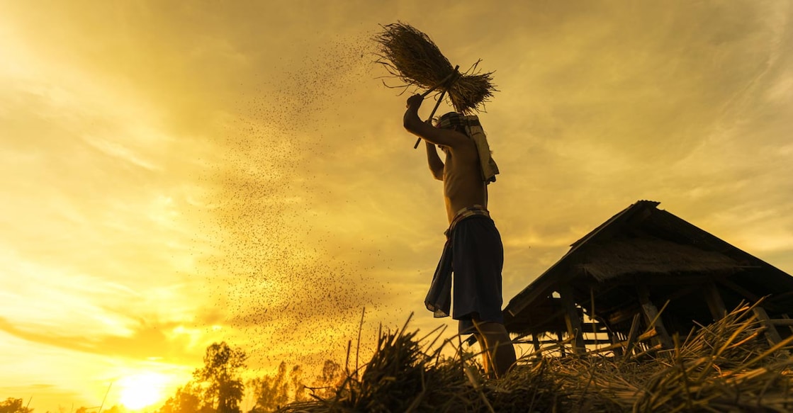 Photo: Shutterstock Images