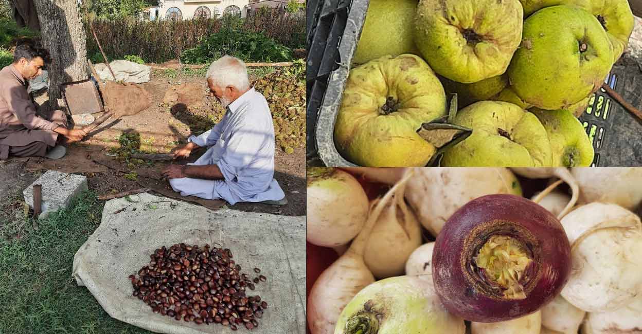 kashmir-food-1 kashmir-food-1