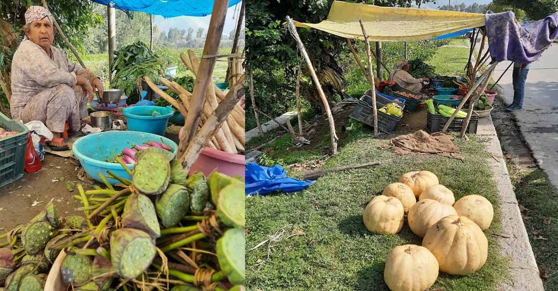 When in Srinagar, do look for home-grown walnuts and other agri-products Lotus pods and pumpkins kept for sale opposite Dal Lake | Photo: Special Arrangement