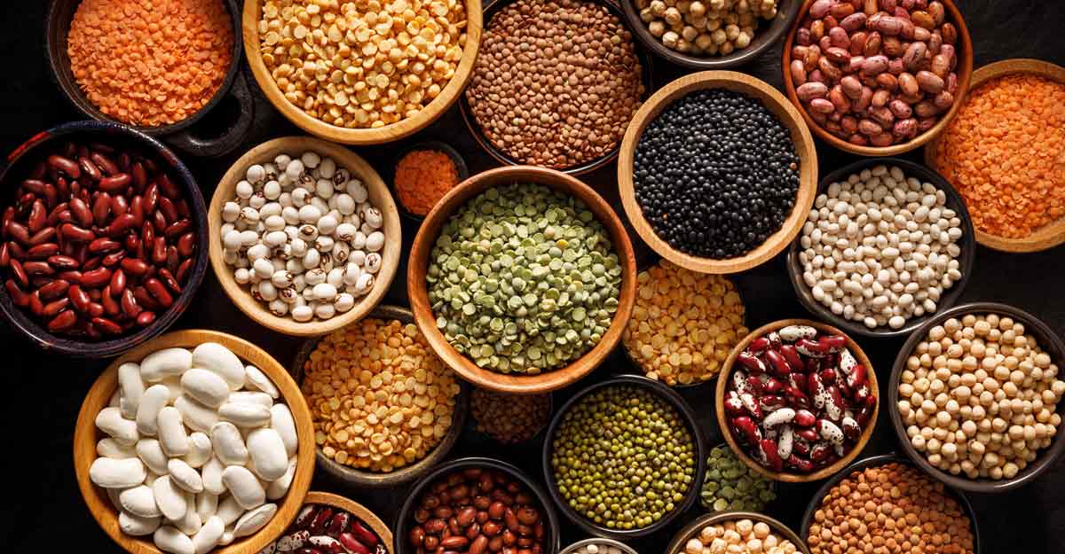 Know your pulses! | Manorama English