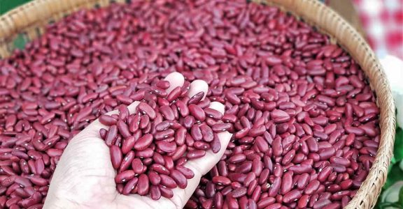 Rajma Rajma