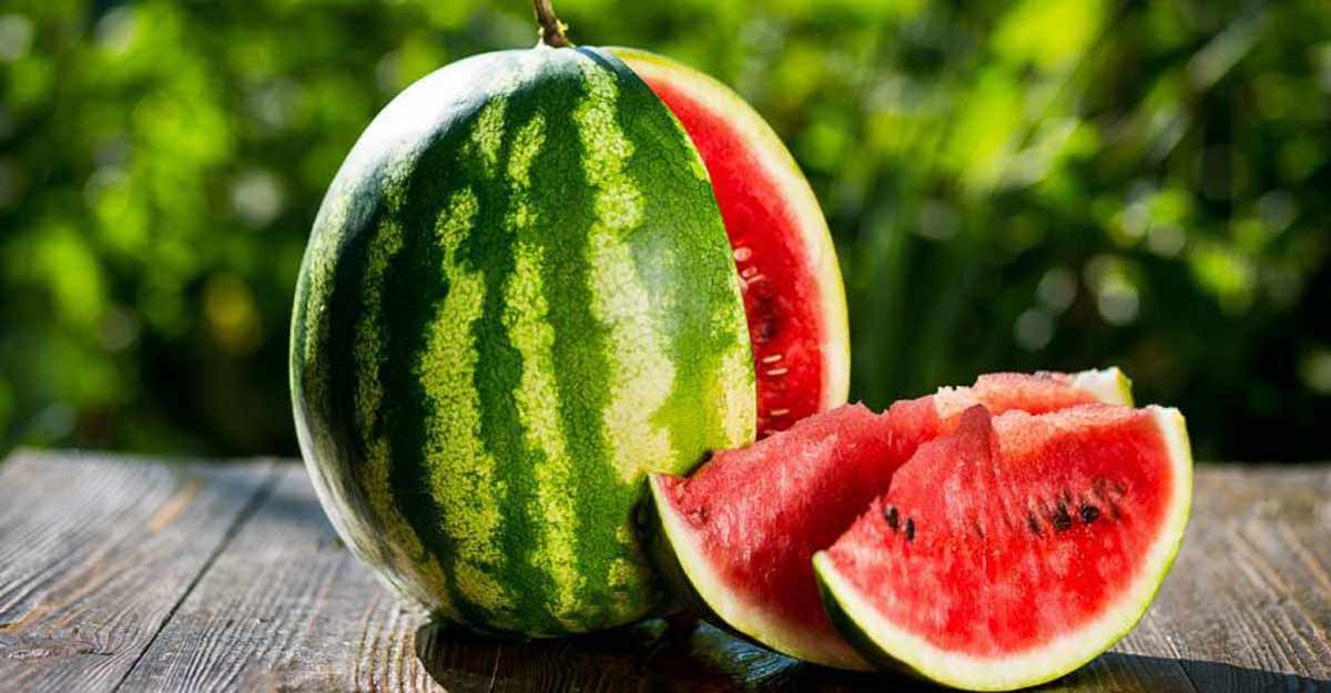 Story of watermelon – the ultimate summer delight