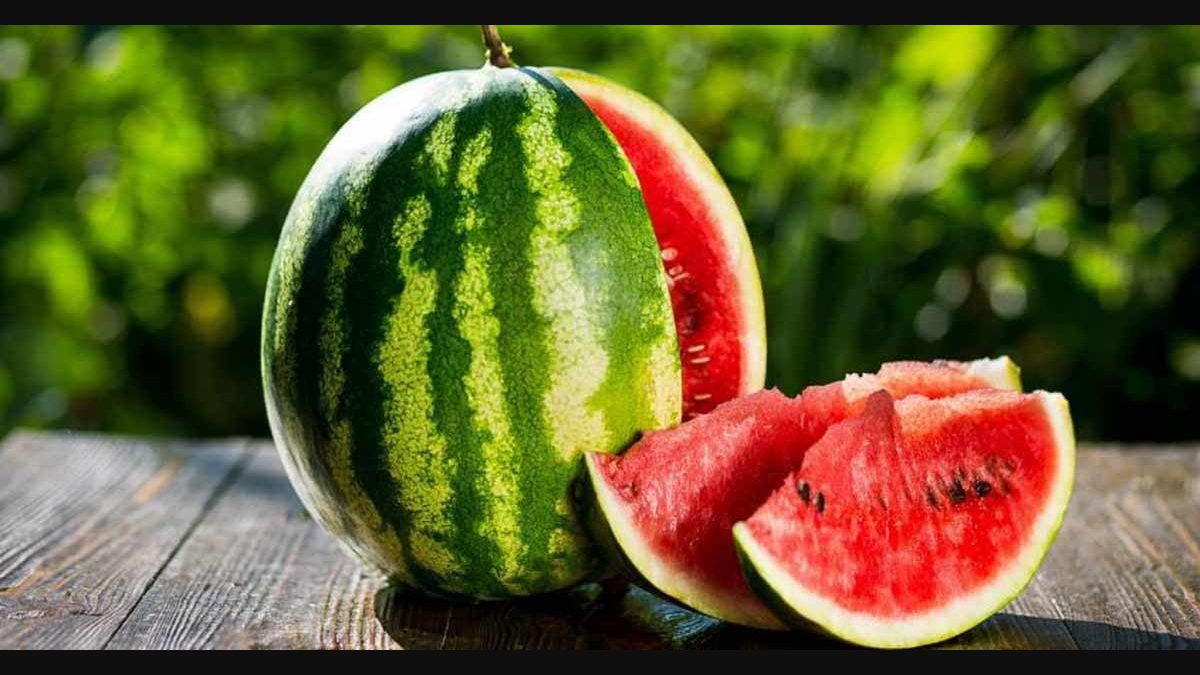 Did you know these amazing benefits of watermelon seeds? | Manorama English