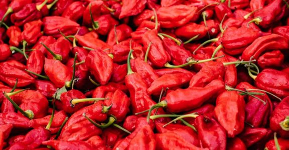 12 varieties of Indian chillies you must know about