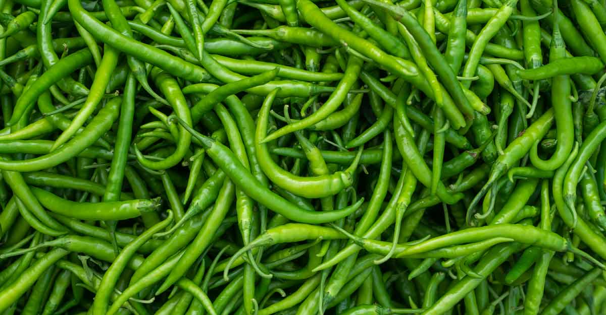 Green chillies