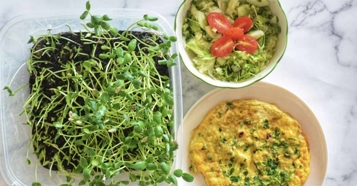 Feast on microgreens in the time of COVID-19
