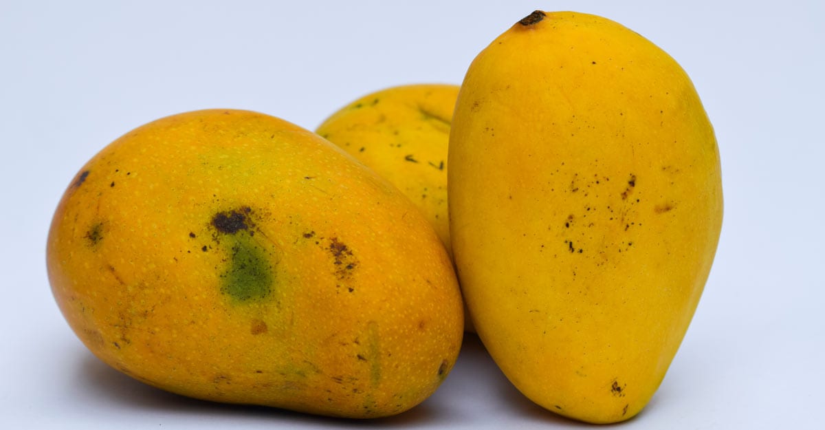 badami-mango badami-mango
