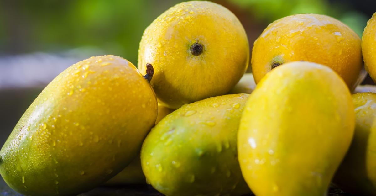 kesar-mango kesar-mango