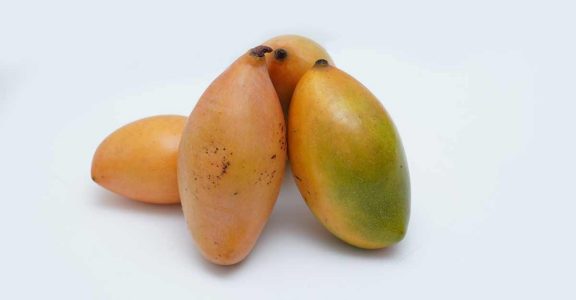 The King Of Fruit: 13 Mouthwatering Mango Varieties - Sukhi's