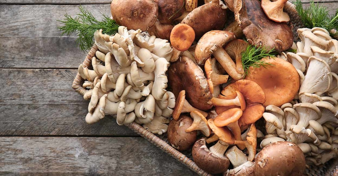 Some of the best edible mushrooms in India and across the world