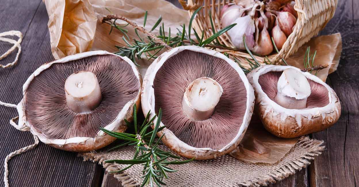 portobello-mushrooms portobello-mushrooms