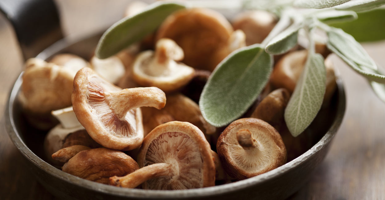 shitake-mushrooms shitake-mushrooms
