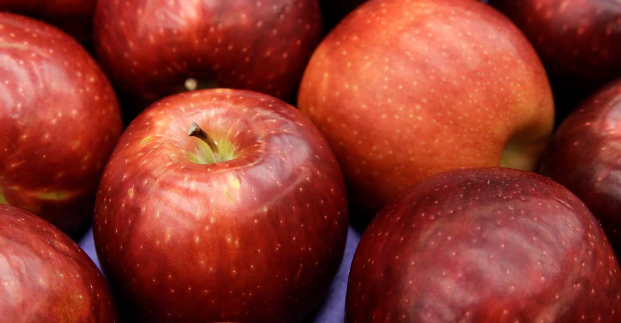 New Apple New Apple