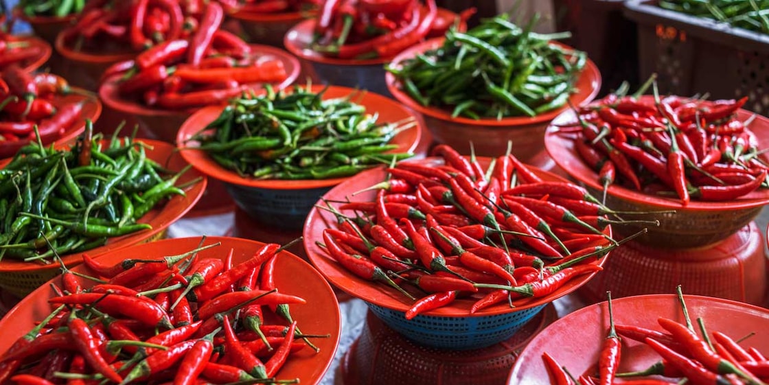 Indian-chilli