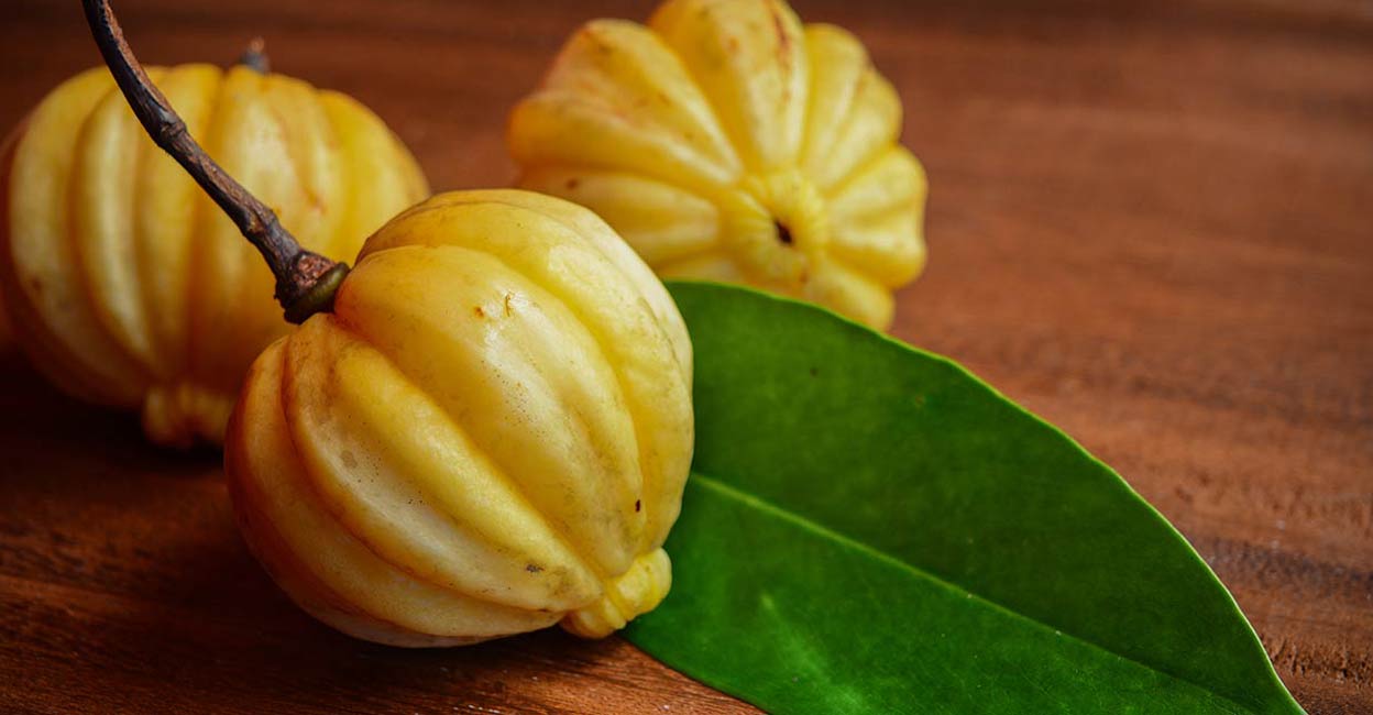 Garcinia cambogia. Photo: Shutterstock/Justin Johny