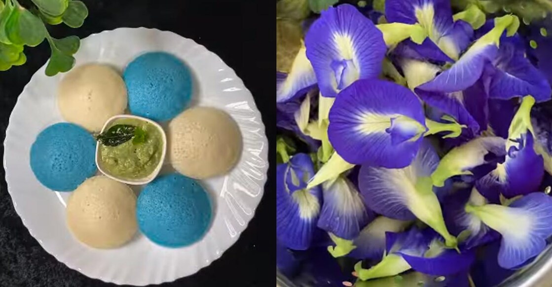 Why are these blue idlis trending? 