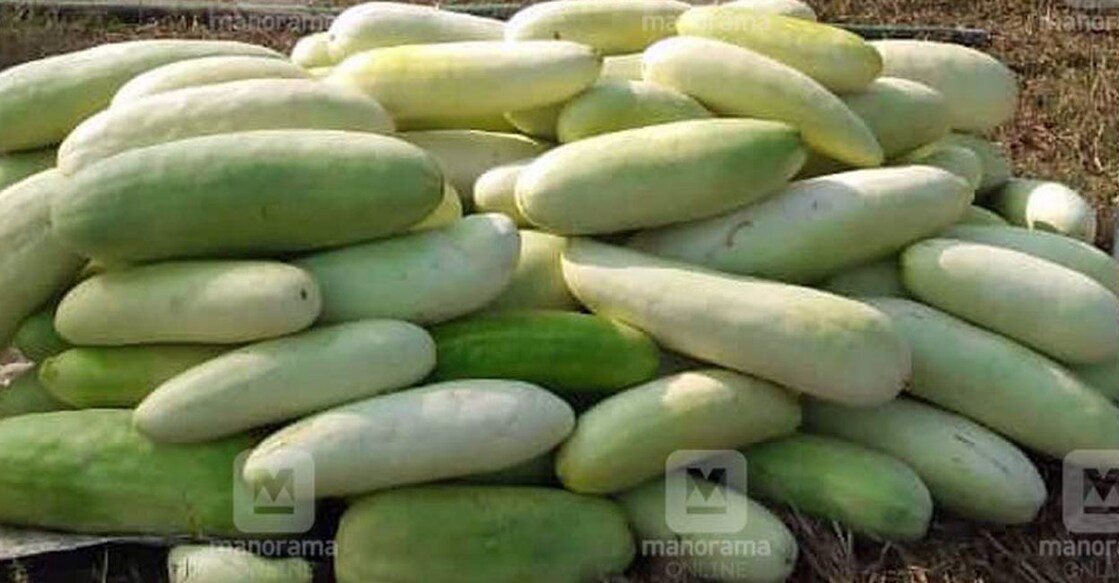 Try snap melon juice to beat the summer heat