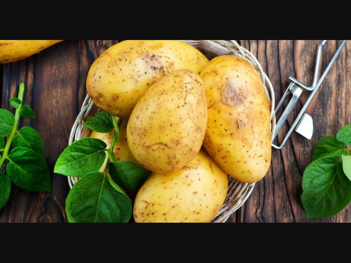 Is a Potato a Vegetable?