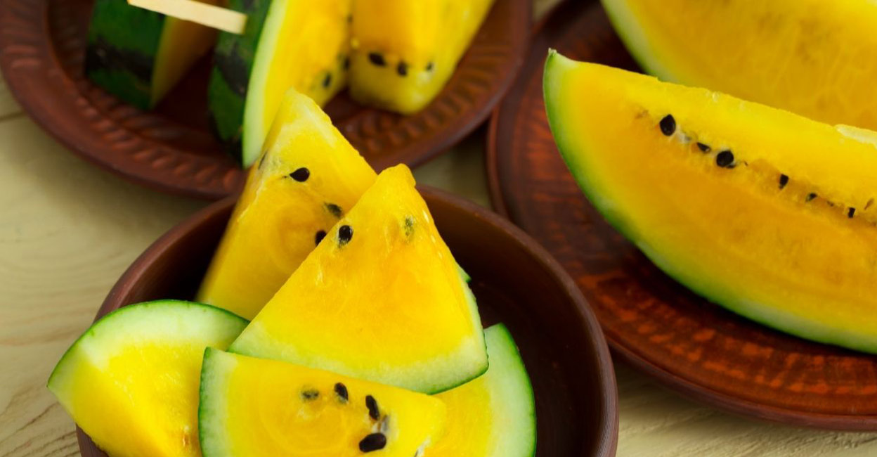 Nitya - Article image size