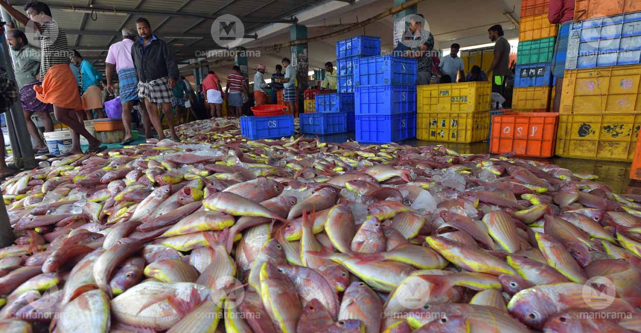 Fish market File photo: Manorama