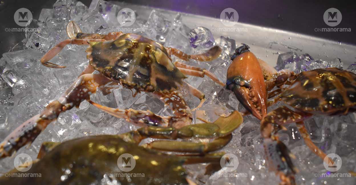 seafood Seafood. Photo: Athira Madhav/Onmanorama