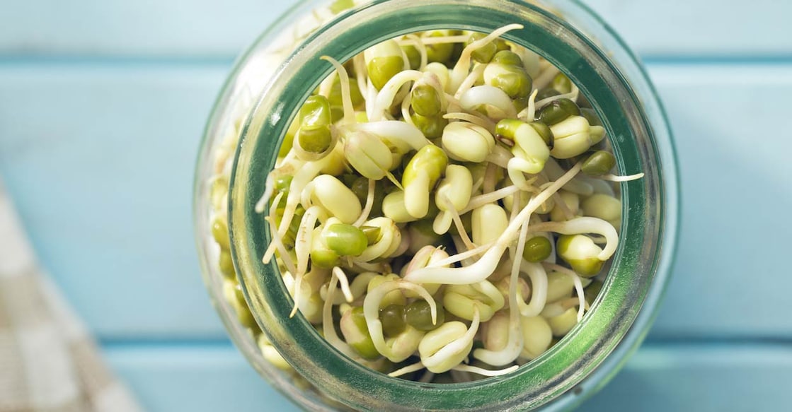 Here is how to make mung beans sprouts easily Photo: Shutterstock/Jiri Hera