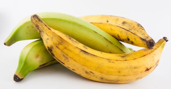 Is it healthy to rely on just an plantain for breakfast?
