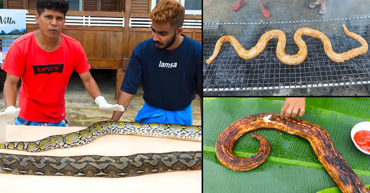 Kerala vlogger takes cooking to next level - grills 35kg snake in Indonesia Screengrabs from Firoz Chuttipara's vlog published on YouTube