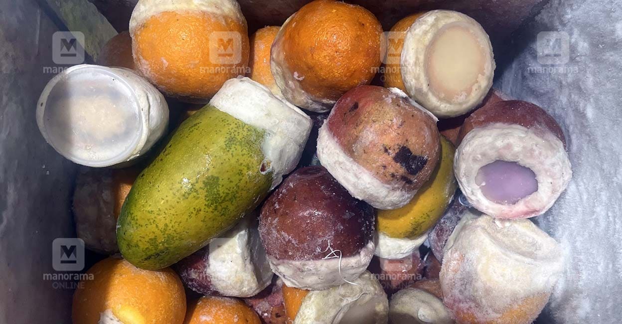 Different types of kulfis Different types of kulfis. Photo: Manorama