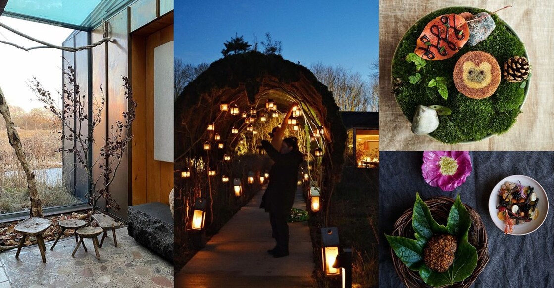 With three Michelin stars, Copenhagen's Noma was established in 2003 by Danish chef Rene Redzepi and is renowned for its avant-garde approach to Nordic cuisine. Photos: Instagram @nomacph