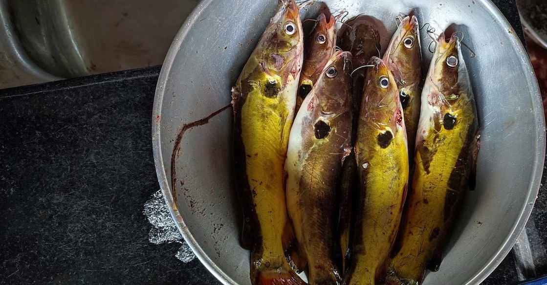 fresh-water-fish It is a big task to remove the scales and cut freshwater fish varieties into small pieces as they are slippery. Photo: Shutterstock/Meenu Varghese