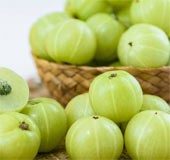 Tips to keep gooseberries fresh for months