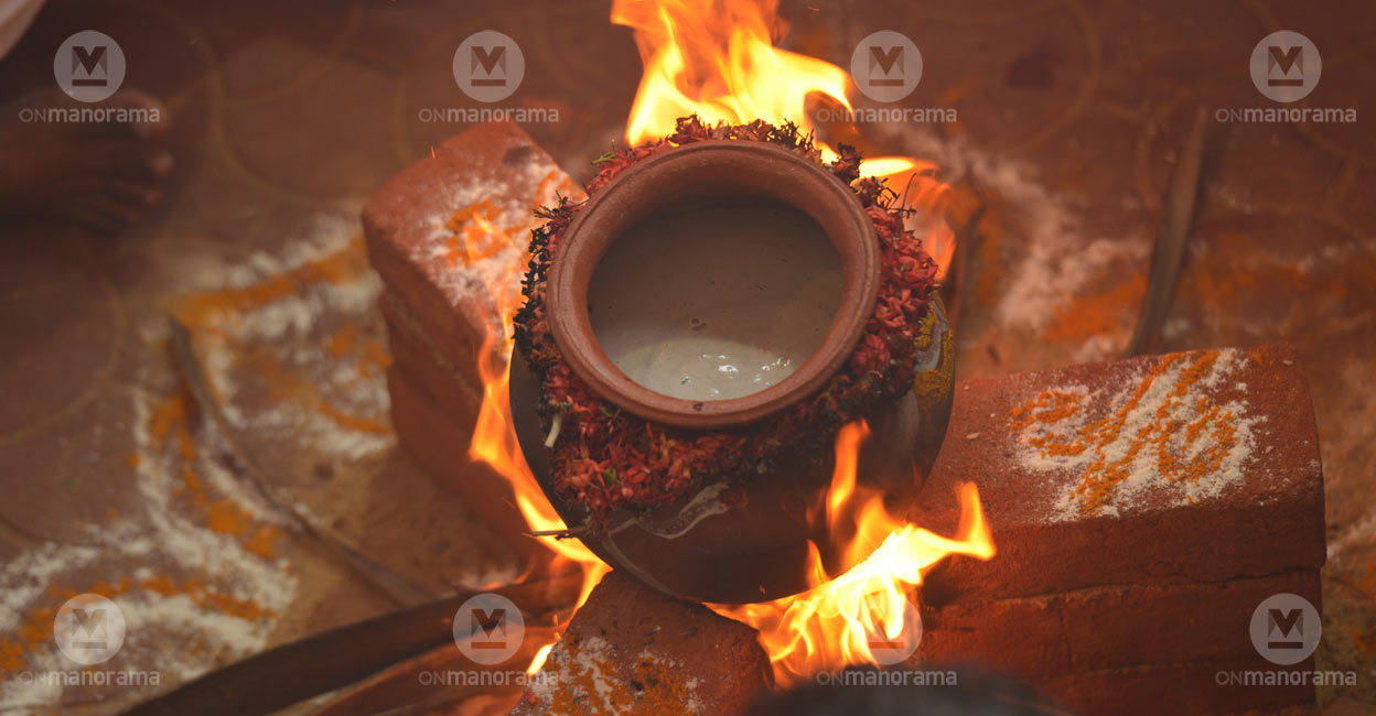 Pongala Braving the blazing sun and palls of smoke billowing from the hearths, devotees brew sweet rice concoctions in their pots on this day for the blessings of the mother goddess. File photo: Manorama