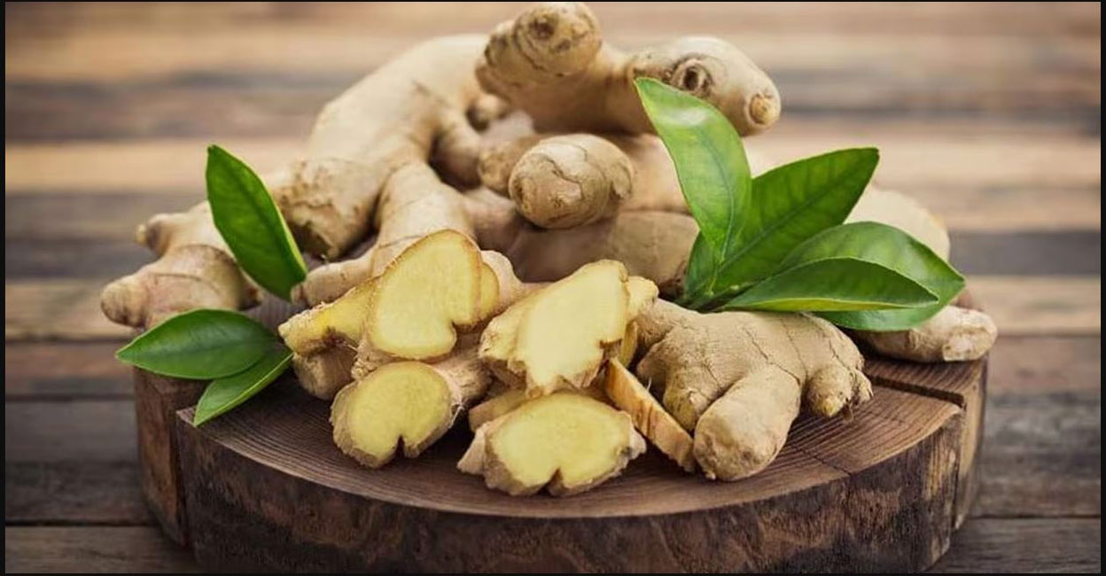 During the monsoon, ginger may get decayed quite easily due to the moisture content in the atmosphere. Photo: Shutterstock/pilipphoto

