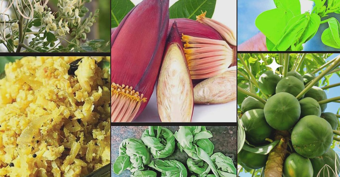 Aesthetic Photo Collage Daily Vlog Youtube Thumbnail - 1 People have begun using local veggies like madanthayila, thakarayila, drumstick leaves, plantain stem, plantain blossom, papaya, mushrooms and Turkish beans more, due to price rise. Photo: Manorama/Sucharut Chounyoo/Shutterstock
