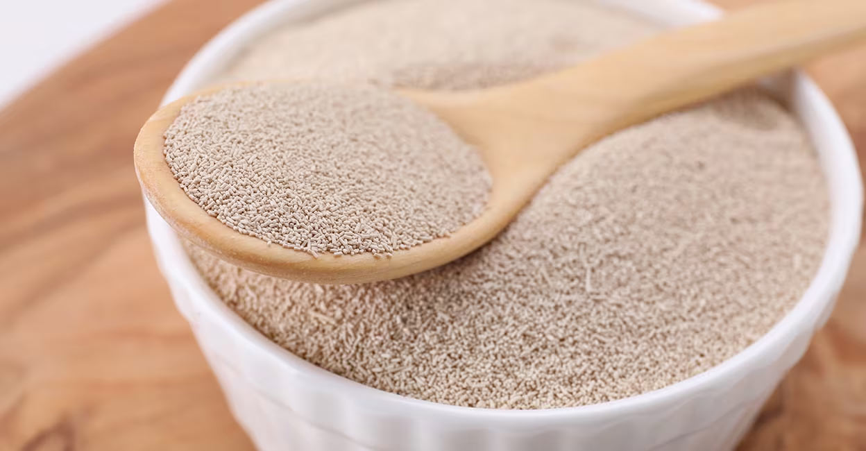 yeast Over 1500 different yeast varieties have been identified so far. Photo: Shutterstock/New Africa/Shutterstock