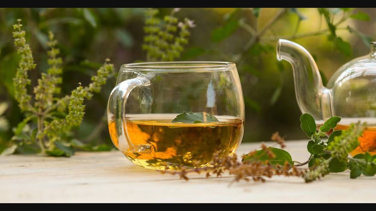 Tulsi tea A simple drink with many health benefits Cuisine Corner