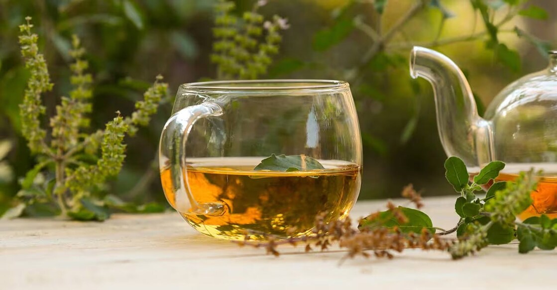 Tulsi tea can be made by boiling tulsi leaves in water. You can also add a few drops of honey for taste. Photo: Shutterstock/Sunanda Malam