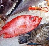 Fish names in Malayalam and English: A guide to popular fish varieties in Kerala