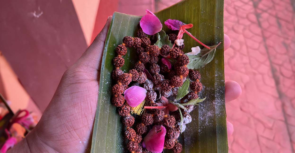 Rudraksha Representative image: Shutterstock/Abhishekrkaraniyil