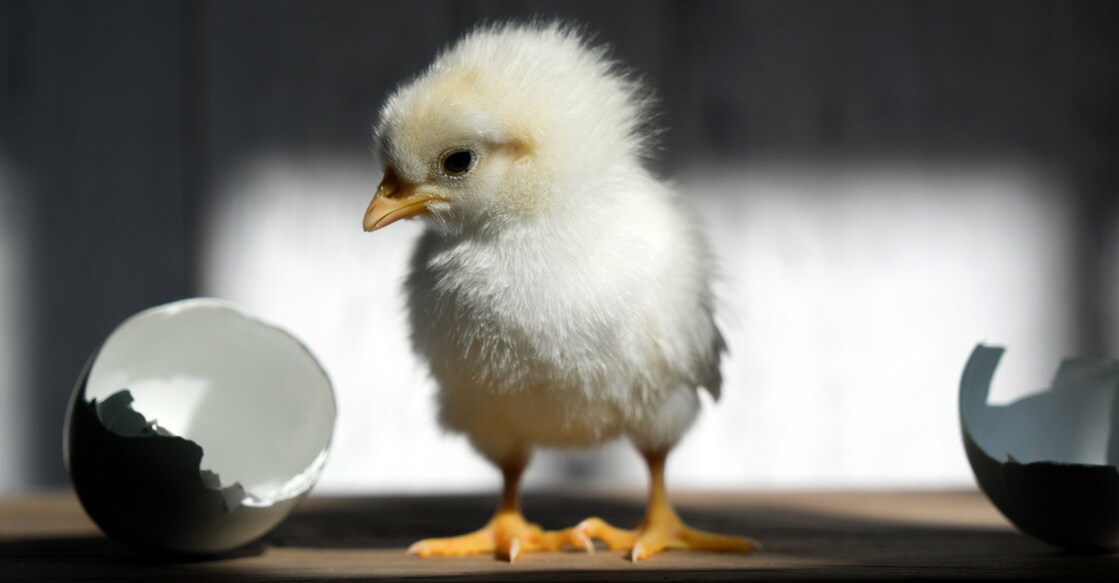 Representative image: iStock/fzant