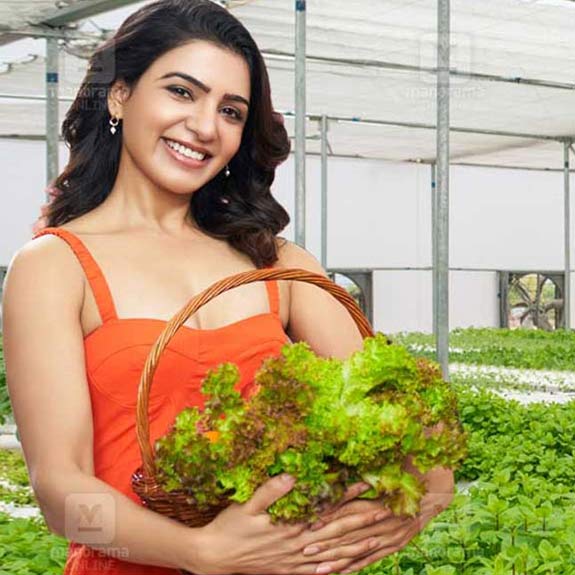 Actor Samantha Ruth Prabhu is an investor in Urban Kisan, a company revolutionizing agriculture with its innovative soil-less farming methods. Photo: Karshakasree